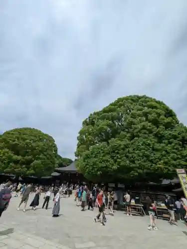 明治神宮(東京都)