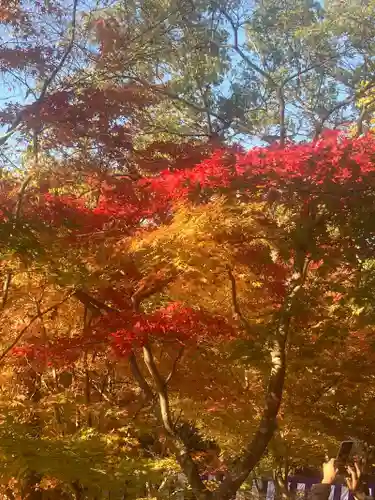 北野天満宮(京都府)