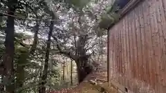 貴船神社(京都府)