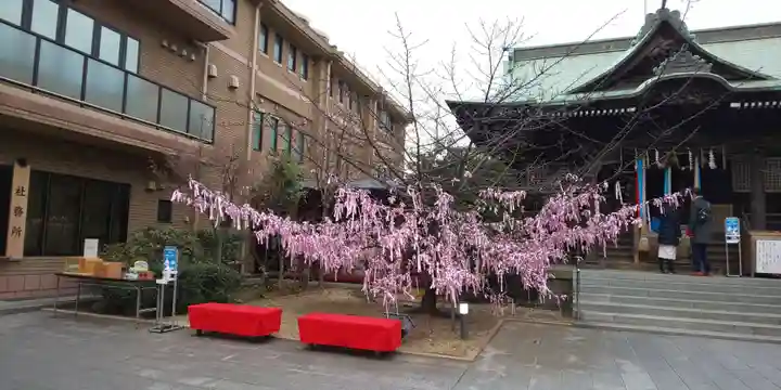 桜神宮のその他建物