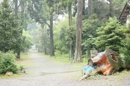 大國主神社の自然