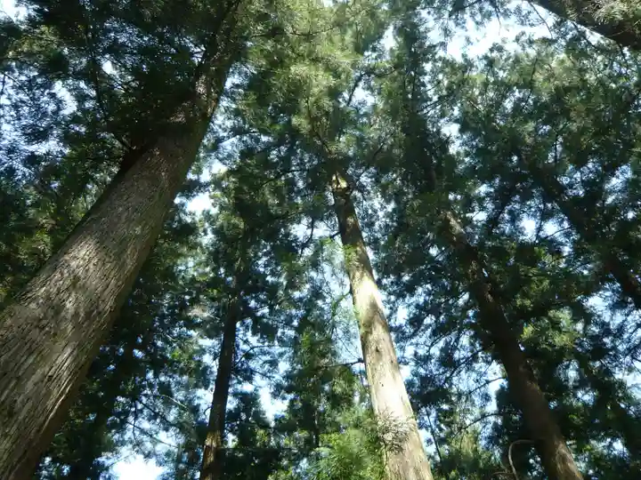 大斎原(熊野本宮大社旧社地)の自然