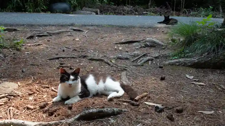 美與利大明神(宮城県)