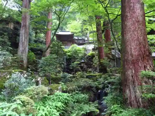 最乗寺（道了尊）の自然