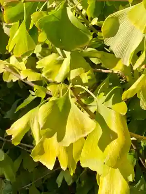 宇賀神社(京都府)