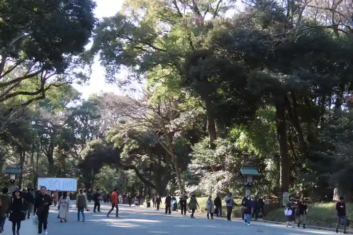 明治神宮(東京都)