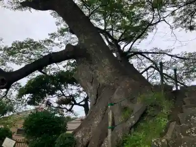六代山不動院(神奈川県)