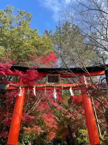 宇治上神社の鳥居