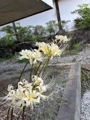 西光院(茨城県)