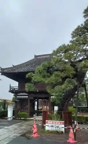 本應寺(埼玉県)