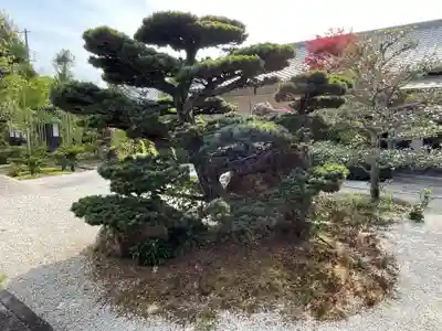 印空寺(京都府)