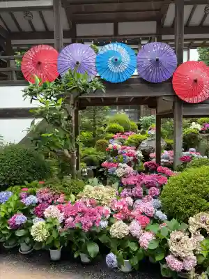 楽法寺（雨引観音）(茨城県)