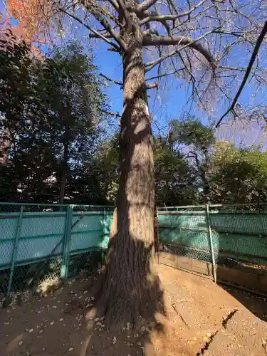 稲荷神社(東京都)