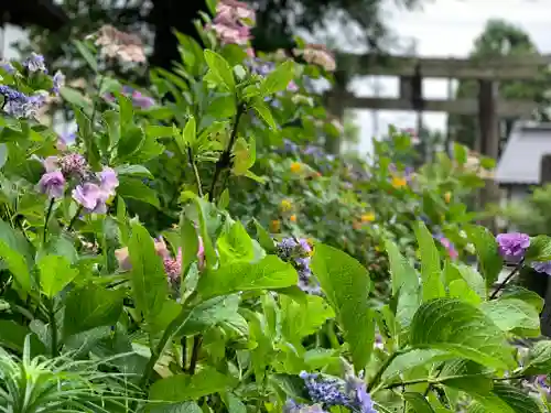 宇奈岐日女神社の庭園