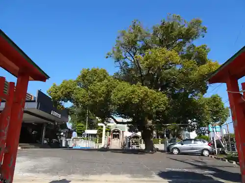 諏訪神社のその他建物