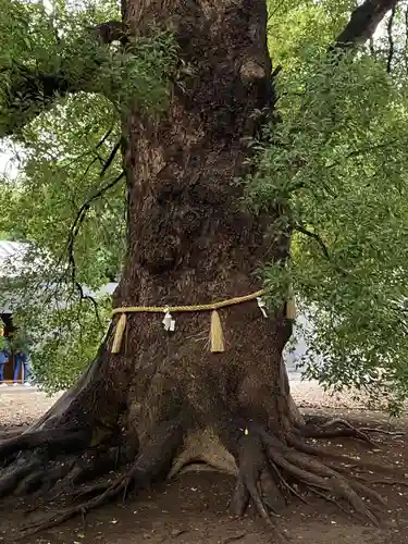 上野東照宮(東京都)