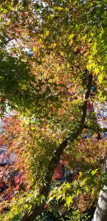 香取神社(東京都)