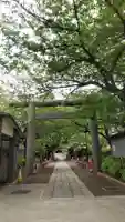 亀戸 香取神社の鳥居