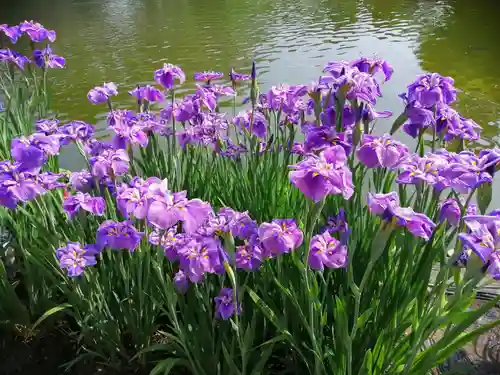 伊佐須美神社(福島県)