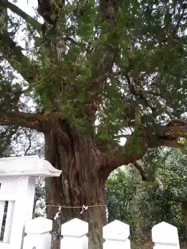 廣峯神社(兵庫県)