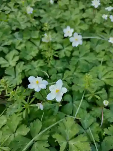 松井孫右衛門社(三重県)