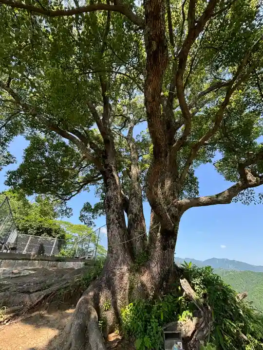 サムハラ神社 奥の宮(岡山県)