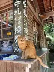 伊佐須美神社の動物