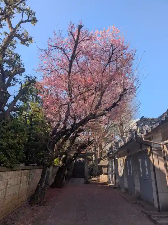 田端八幡神社(東京都)