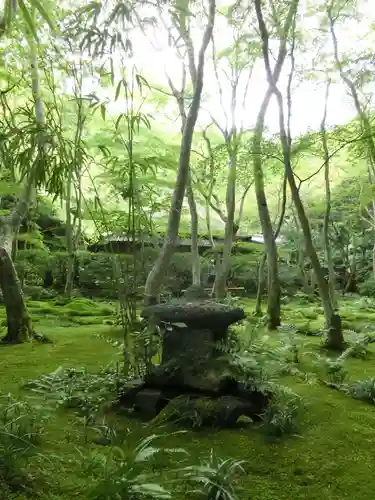 祇王寺の庭園