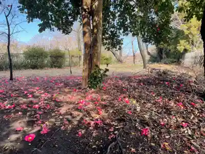 山の神神社の自然