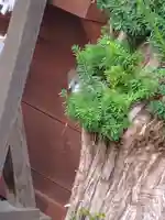 森三吉神社(北海道)