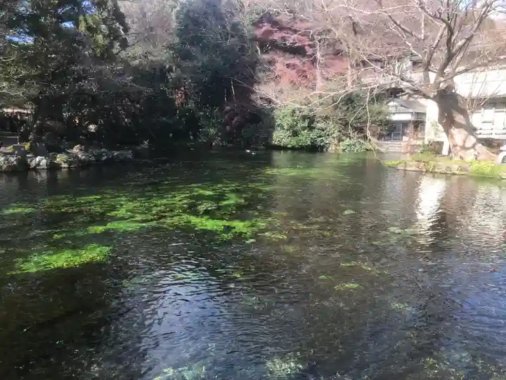 富士山本宮浅間大社(静岡県)