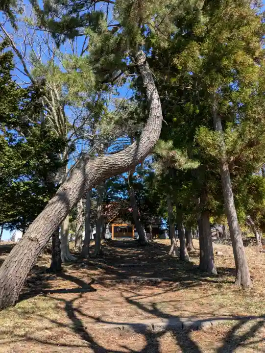 神山稲荷神社の{uncategorized: "未分類", other: "その他", undefined: "問題あり", building: "その他建物", grave: "お墓", sacred_gate: "鳥居", guardian: "狛犬", statue: "像", buddha: "仏像", history: "歴史", nature: "自然", garden: "庭園", animal: "動物", pagoda: "塔", temizu: "手水舎", mountain_gate: "山門・神門", sanctuary: "本殿・本堂", subordinate: "末社・摂社", art: "芸術", scenery: "景色", jizo: "地蔵", ema: "絵馬", goshuin: "御朱印", omikuji: "おみくじ", items: "授与品その他", amulet: "お守り", goshuincho: "御朱印帳", eats: "食事", festival: "お祭り", votive_dance: "神楽", shichigosan: "七五三参", wedding: "結婚式", experience: "体験その他", initially: "初詣", around: "周辺", anti_infection: "感染症対策"}