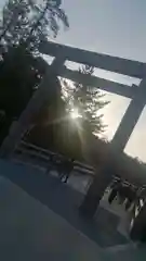 伊勢神宮内宮（皇大神宮）の鳥居
