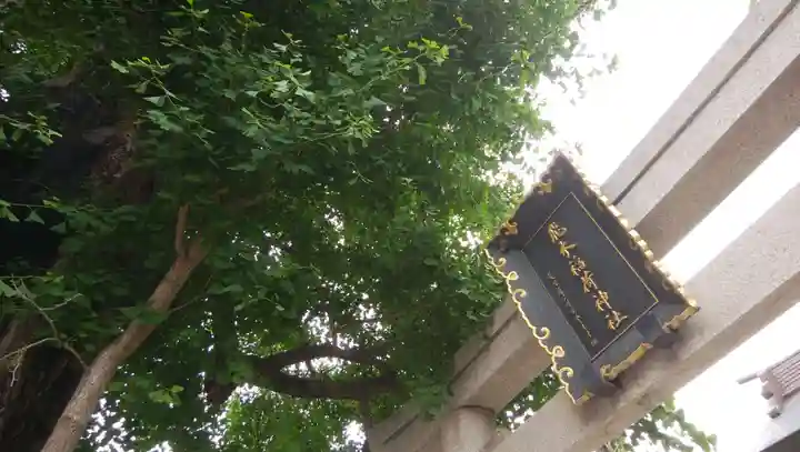 飛木稲荷神社の鳥居