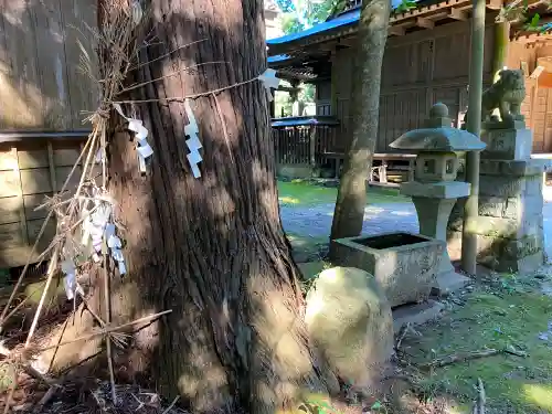 鴨大神御子神主玉神社の自然