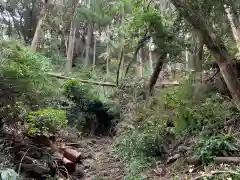 佐室浅野神社の自然