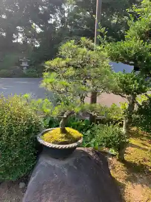 蓮福寺(千葉県)