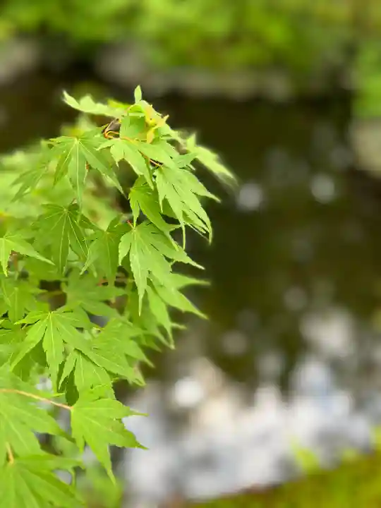 寒川神社(神奈川県)