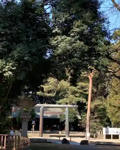 埼玉縣護國神社の鳥居