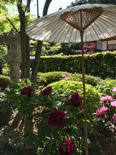 宝徳寺(群馬県)