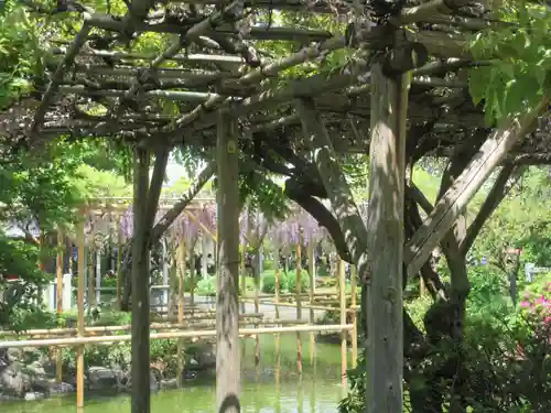 亀戸天神社(東京都)