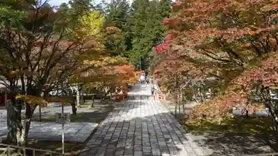 高野山金剛峯寺奥の院(和歌山県)
