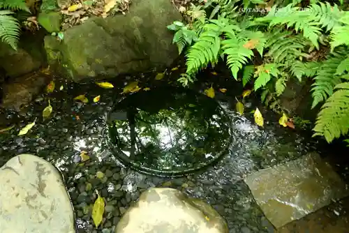 明治神宮(東京都)