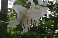 開成山大神宮の庭園