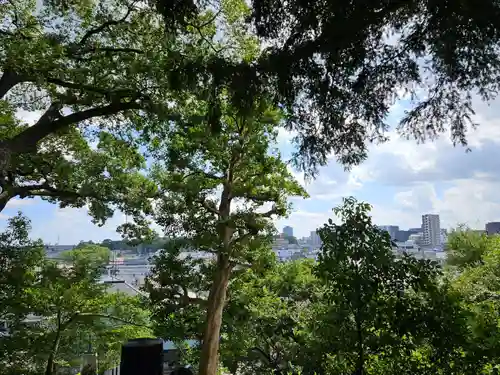 富士見稲荷神社(埼玉県)