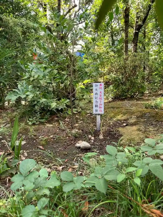 亀ケ池八幡宮の建物その他