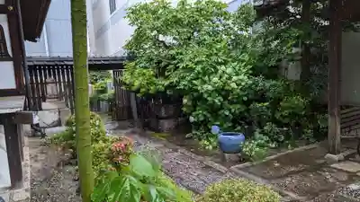 浄心寺(京都府)