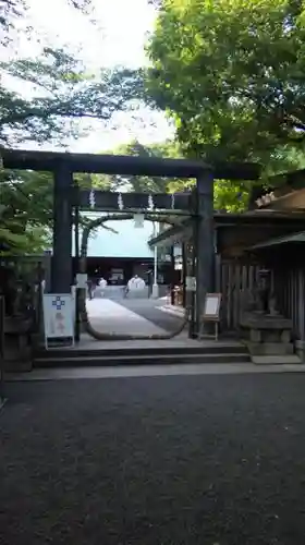 乃木神社の鳥居