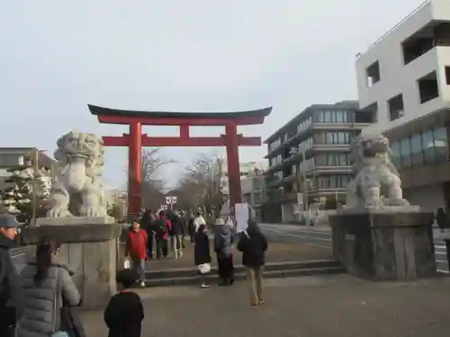 鶴岡八幡宮の狛犬